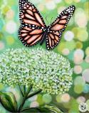The image for Sunday $35: Reservations Required: Butterfly on a Hydrangea