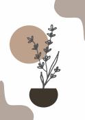 The image for Wednesday $37: Reservations Required: Minimalist Flower