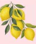 The image for Thursday $37: Reservations Required: Lemons
