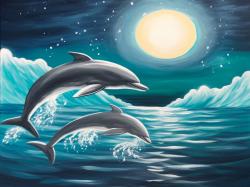 The image for Sunday $35: Reservations Required: Moonlight Dolphins