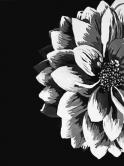The image for Tuesday $35: Reservations Required: Black and White Dahlia